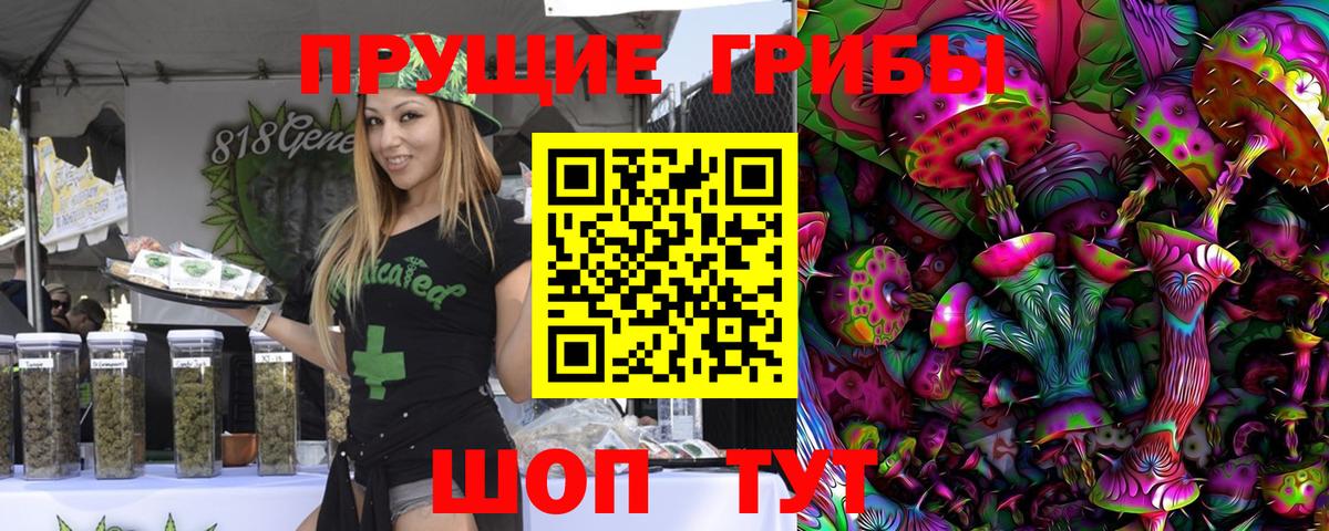 Галлюциногенные грибы Cubensis Партизанск
